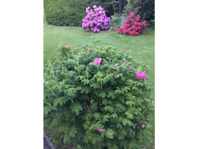 Holiday house Heilklimatischer Luftkurort - Outdoor photo 9