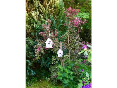 Holiday house Heilklimatischer Luftkurort - Outdoor photo 10