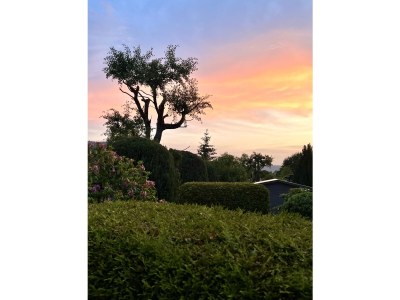 Holiday house Heilklimatischer Luftkurort - Outdoor photo 12