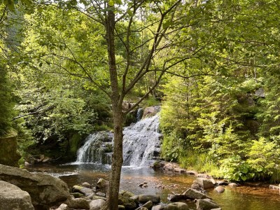 Holiday house Heilklimatischer Luftkurort - Environment photo 28