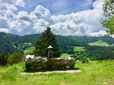 Holiday house Heilklimatischer Luftkurort - Environment photo 29