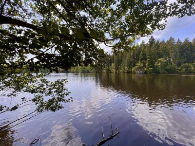 Holiday house Heilklimatischer Luftkurort - Environment photo 31