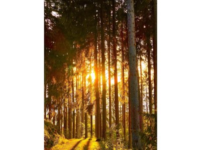 Holiday house Heilklimatischer Luftkurort - Environment photo 33