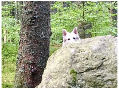 Holiday house Heilklimatischer Luftkurort - Environment photo 34