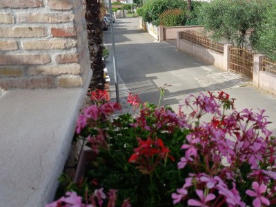 Holiday house Rustika - Outdoor photo 6