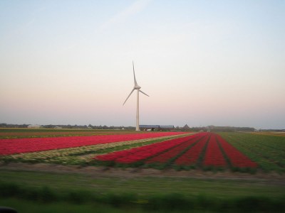 Holiday apartment Molen - Environment photo 10