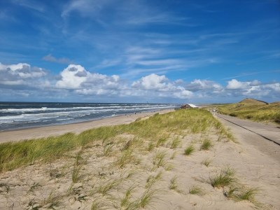 Holiday apartment Molen - Environment photo 11