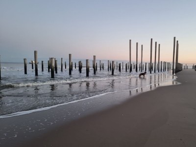 Holiday apartment Molen - Environment photo 14