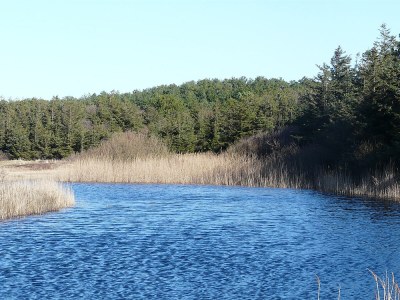 Holiday apartment Molen - Environment photo 16