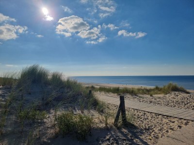 Holiday apartment Molen - Environment photo 19