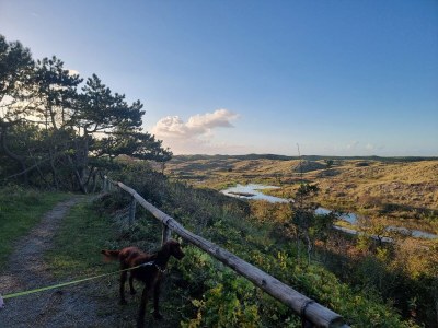 Holiday apartment Molen - Environment photo 21