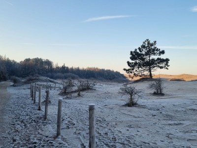 Holiday apartment Molen - Environment photo 23