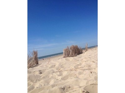 Holiday apartment Family Beach Lodge 16 - Environment photo 18