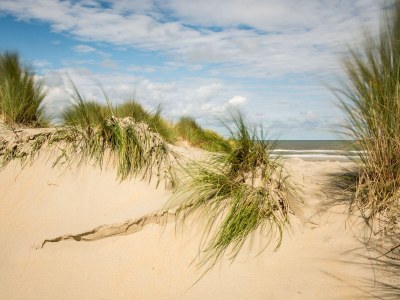 Holiday apartment AmelÃ¤nder-Paradijs Nr. 14 - Environment photo 19