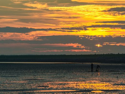 Holiday apartment AmelÃ¤nder-Paradijs Nr. 14 - Environment photo 21