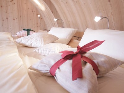 Holiday house Ufogel - Features photo 31