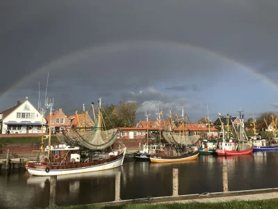 Holiday house Bonte Piet - Environment photo 22