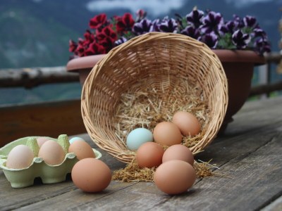 Holiday house Waldbrunn - Outdoor photo 18