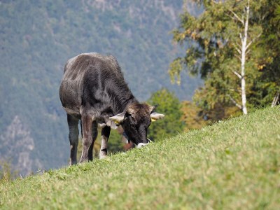Holiday house Waldbrunn - Environment photo 28