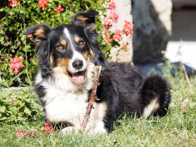 Holiday house Waldbrunn - Environment photo 30