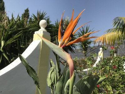 Villa Villa Panoramica - Outdoor photo 8