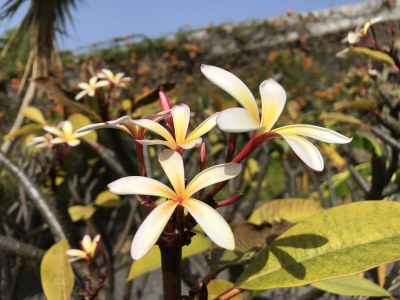 Villa Villa Panoramica - Outdoor photo 9