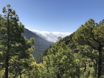 Villa Villa Panoramica - Environment photo 34