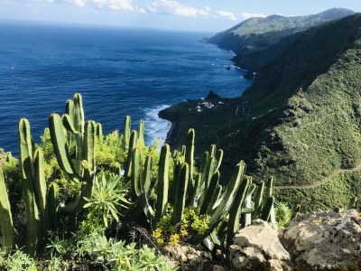 Villa Villa Panoramica - Environment photo 35