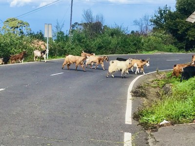 Villa Villa Panoramica - Environment photo 38
