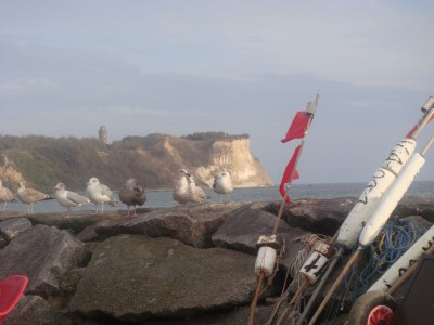 Holiday house Kapsegler - Environment photo 12