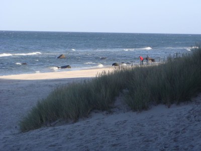 Holiday house Kapsegler - Environment photo 13