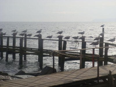 Holiday house Kapsegler - Environment photo 15