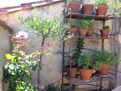 Holiday house La Cour Verte - Features photo 21