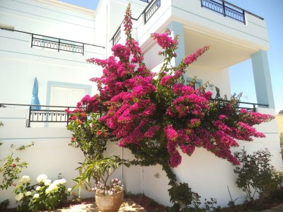 Holiday apartment Villa Elisa Apartments - Outdoor photo 10