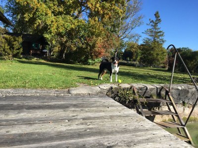 Holiday apartment Paradise on the lake - Outdoor photo 6