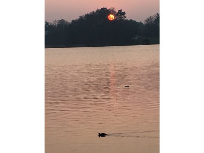 Holiday apartment Paradise on the lake - Environment photo 16