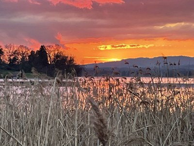 Holiday apartment Paradise on the lake - Environment photo 19