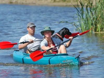 Holiday house Strandslag 320 - Environment photo 25