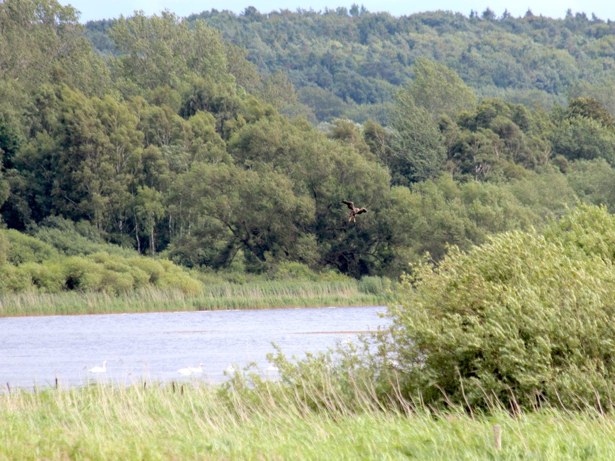 Holiday apartment - No title - - Outdoor photo 5