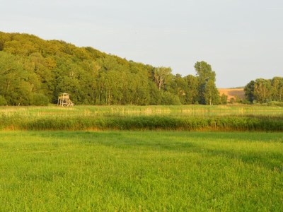 Holiday apartment - No title - - Outdoor photo 4