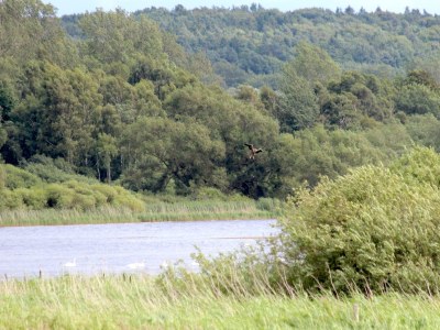 Holiday apartment - No title - - Outdoor photo 5