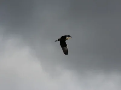 Holiday apartment - No title - - Outdoor photo 7