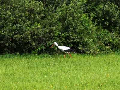 Holiday apartment - No title - - Outdoor photo 8