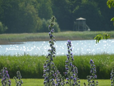 Holiday apartment - No title - - Environment photo 13