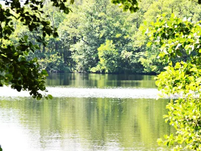 Holiday apartment - No title - - Environment photo 14