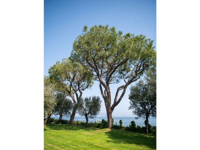 Villa Villa Elena - Environment photo 45