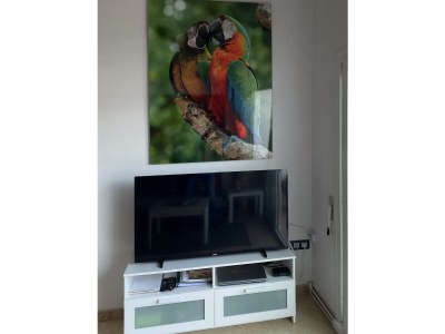 Holiday house Zimmer - Features photo 14