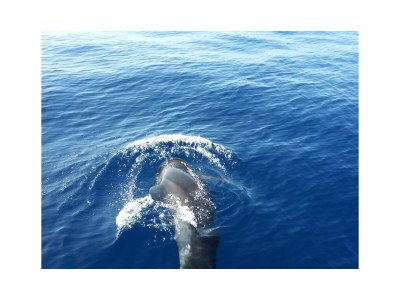 Holiday house Zimmer - Environment photo 33