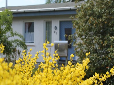 Holiday house Ruhiges Ferienhaus in Zingst–Urlaub nahe am Strand - Outdoor photo 2