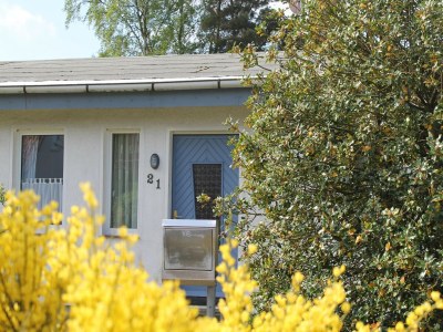 Holiday house Ruhiges Ferienhaus in Zingst–Urlaub nahe am Strand - Outdoor photo 6